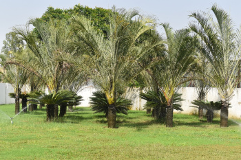 Property for sale in Sector 106 Bhiwadi