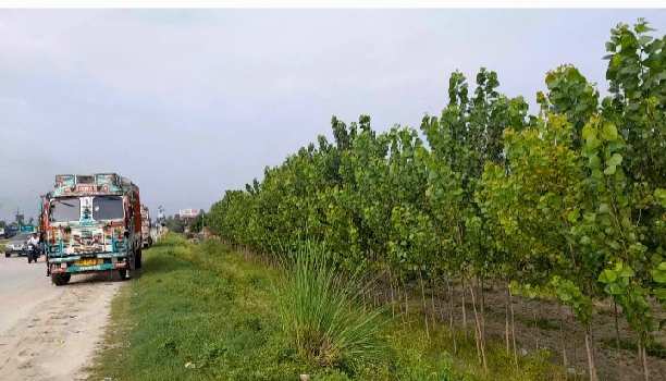 Agriculture land in Biharigarh Uttarakhand and  Uttar Pradesh