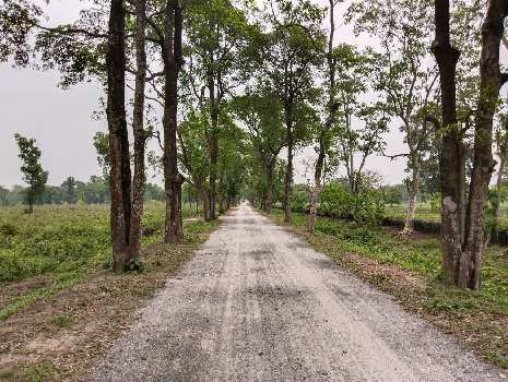 Property for sale in Fulbari Cancel Road, Siliguri