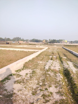 4 Biswa Agricultural/Farm Land for Sale in Parao, Varanasi