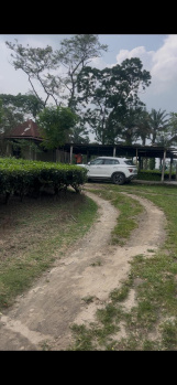 84 Acre Agricultural/Farm Land for Sale in Arabinda Pally, Siliguri