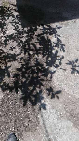 Property for sale in Shiv Mandir, Siliguri