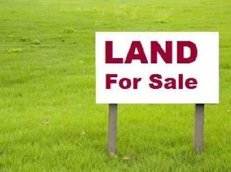 3 Biswa Residential Plot for Sale in Farabari, Siliguri