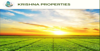 100 Bigha Agricultural/Farm Land For Sale In Brijghat, Moradabad