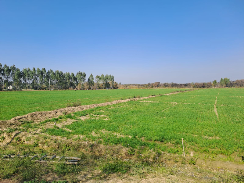 48 Bigha Agricultural/Farm Land for Sale in Rajabpur, Gajraula