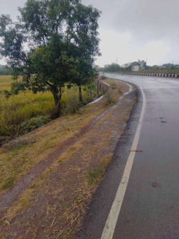 155 Bigha Agricultural/Farm Land for Sale in Rampur Road, Moradabad