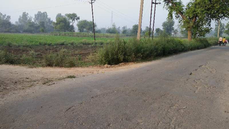 10 Bigha Agricultural/Farm Land for Sale in Uttar Pradesh