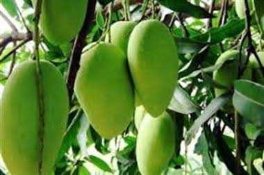 Property for sale in Garhmukteshwar, Hapur