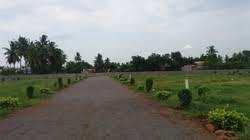 80 Bigha Agricultural/Farm Land for Sale in Garhmukteshwar, Hapur