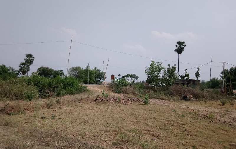 Residential Plot for Sale in Bihar (100 Acre)