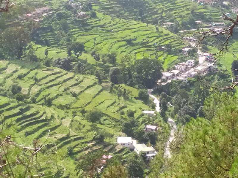 30240 Sq.ft. Commercial Lands /Inst. Land for Sale in Nainital