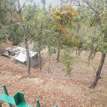 Property for sale in Binsar, Almora