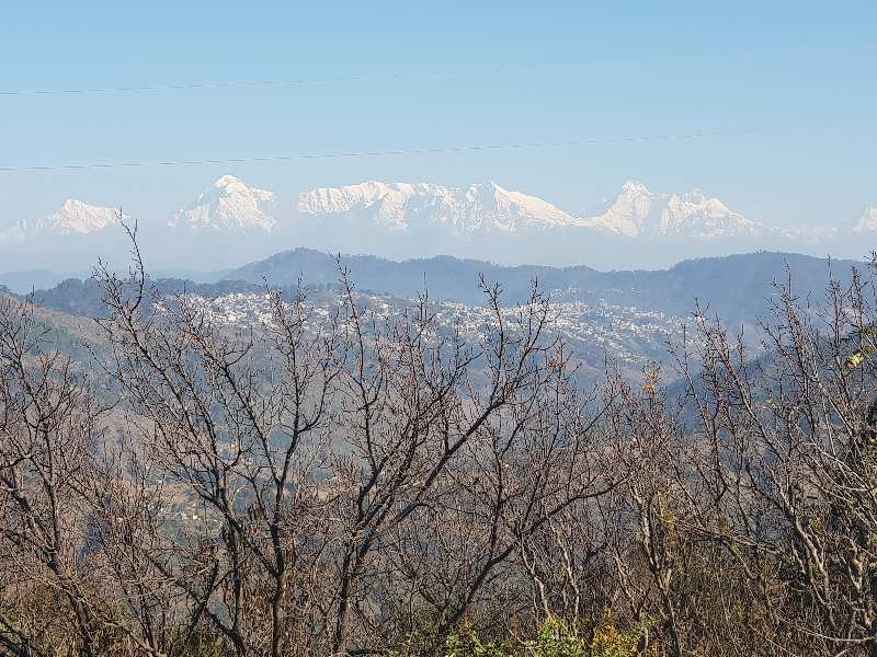 Residential Land For Sale In Kaphura Village, Nainital Uttarakhand. Near Sitla Mukteshwar