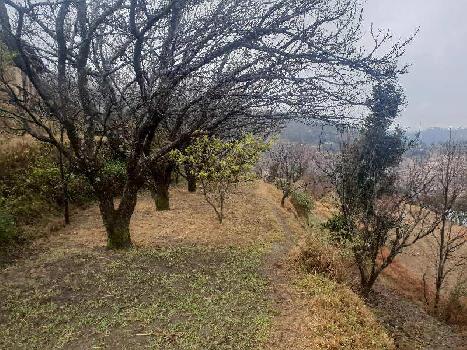 Property for sale in Mukteshwar, Nainital