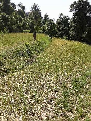 Residential Land For Sale In Paudhar, Almora, Uttarakhand.