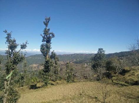 Property for sale in Mukteshwar, Nainital