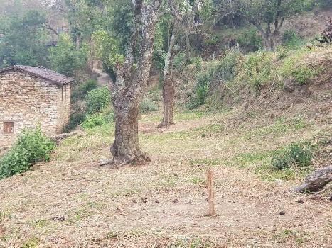 Residential Plot for Sale in Bhowali, Nainital