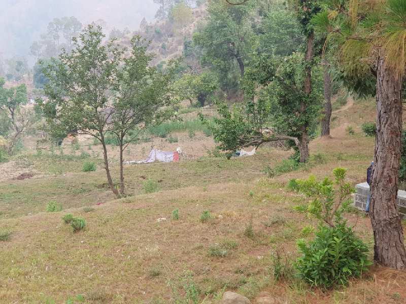 Residential Plot for Sale in Bhowali, Nainital (339120 Sq.ft.)