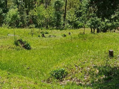 Property for sale in Mukteshwar, Nainital