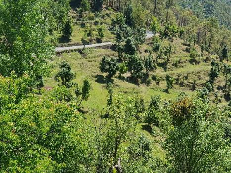 Property for sale in Mukteshwar, Nainital