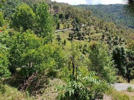 Property for sale in Mukteshwar, Nainital