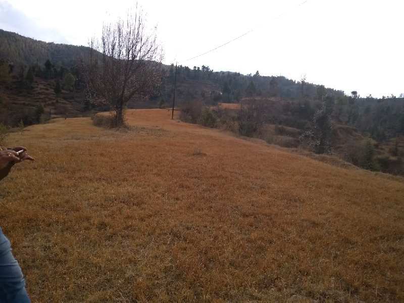 1620000 Sq.ft. Residential Plot for Sale in Champawat