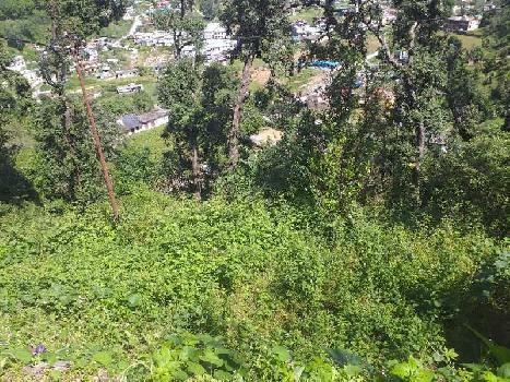 Residential Plot for Sale in Bhimtal, Nainital (6300 Sq.ft.)