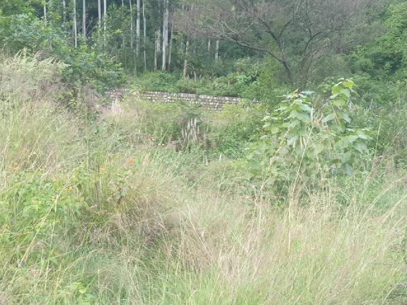 118800 Sq.ft. Residential Plot for Sale in Dogaon, Nainital