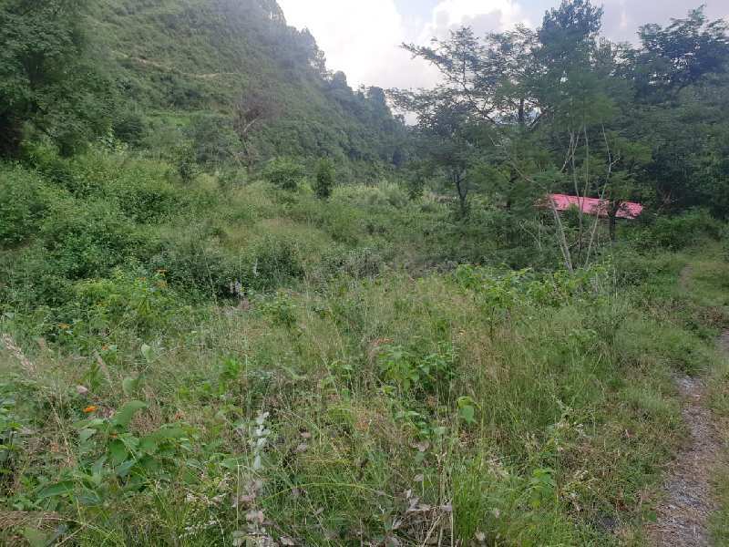 118800 Sq.ft. Residential Plot for Sale in Dogaon, Nainital