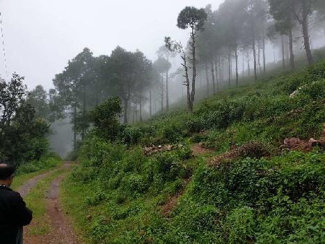 Property for sale in Bhimtal, Nainital