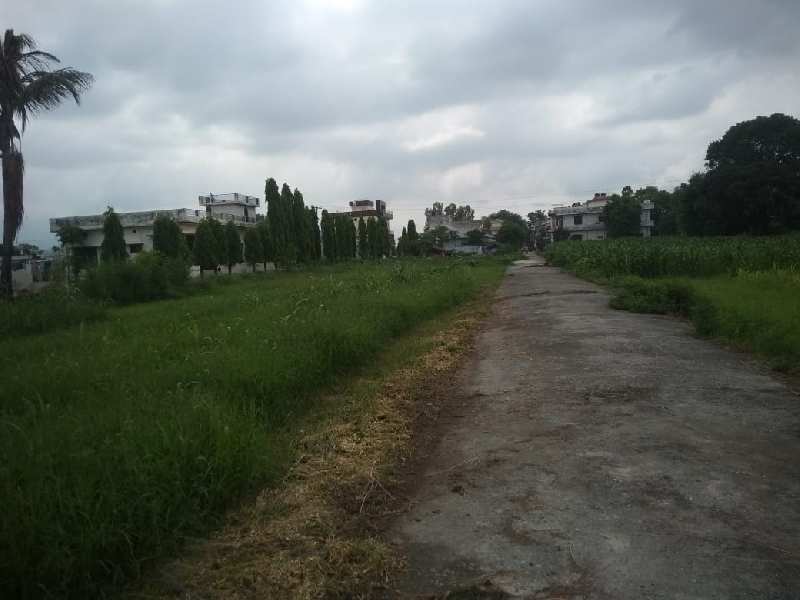 1000 Sq.ft. Residential Plot for Sale in Unchapul, Haldwani