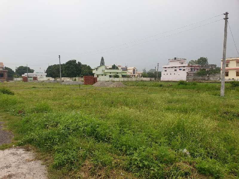 1000 Sq.ft. Residential Plot for Sale in Haldwani, Nainital