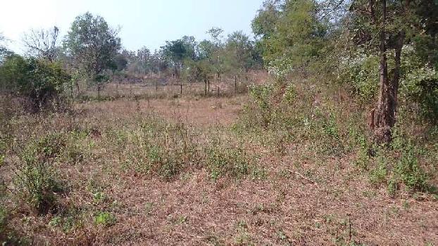 3 Acre Agricultural/Farm Land for Sale in Murbad, Mumbai