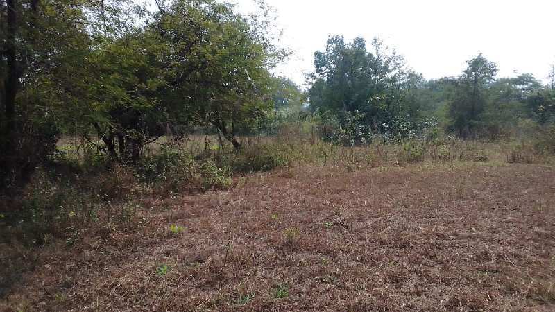 3 Acre Agricultural/Farm Land for Sale in Murbad, Mumbai
