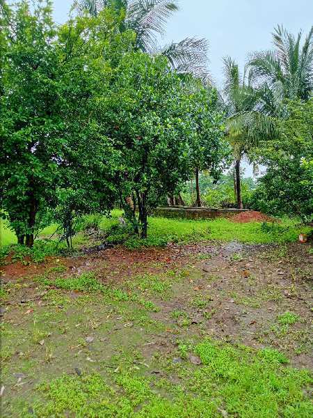 1 BHK Farm House for Sale in Murbad, Thane (5100 Sq. Meter)