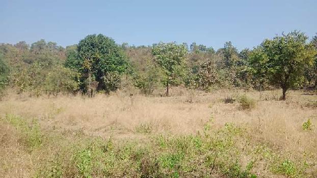 6.3 Acre Agricultural/Farm Land for Sale in Murbad, Thane