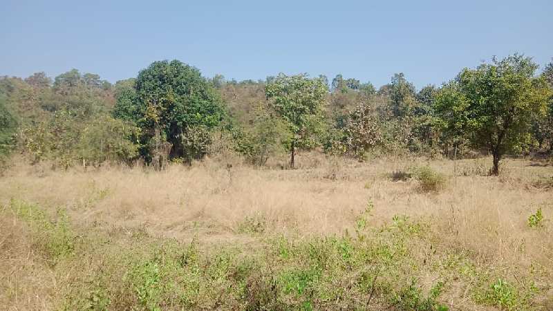 6.3 Acre Agricultural/Farm Land for Sale in Murbad, Thane