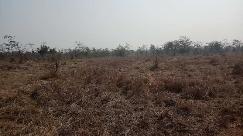 30 Guntha Agricultural/Farm Land for Sale in Murbad, Thane