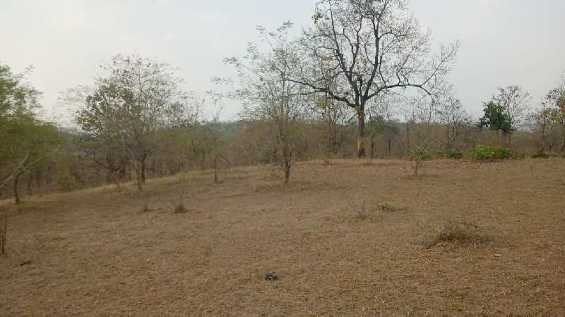 38 Guntha Agricultural/Farm Land for Sale in Murbad, Thane