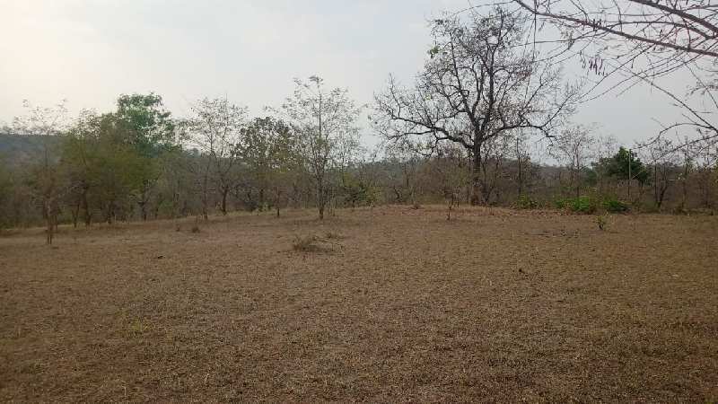 38 Guntha Agricultural/Farm Land for Sale in Murbad, Thane