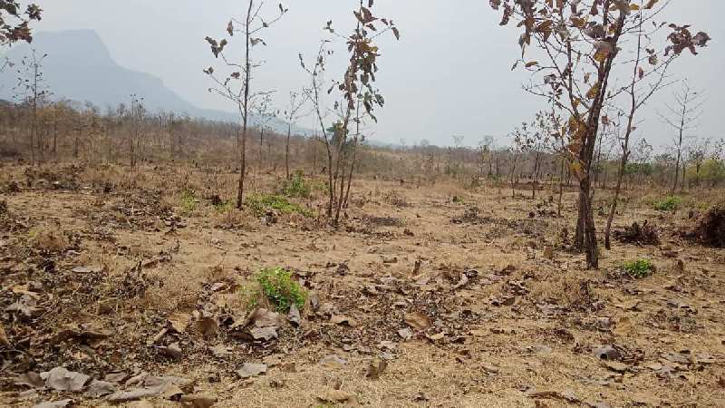 40 Guntha Agricultural/Farm Land for Sale in Murbad, Thane