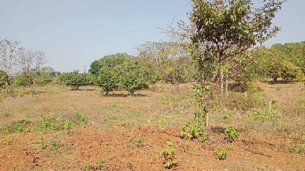 5 Acre Agricultural/Farm Land for Sale in Bhivpuri, Mumbai
