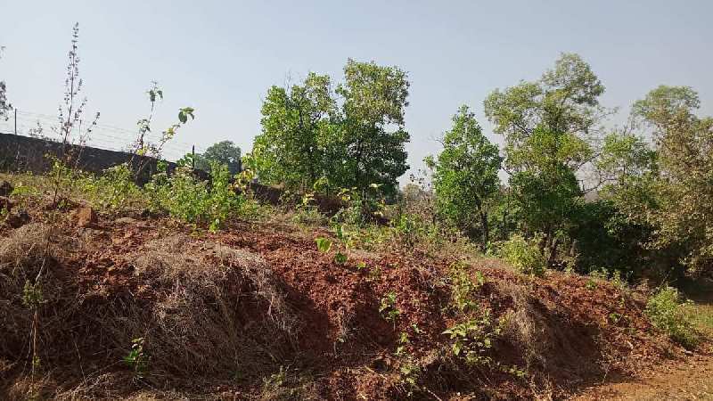 5 Acre Agricultural/Farm Land for Sale in Bhivpuri, Mumbai