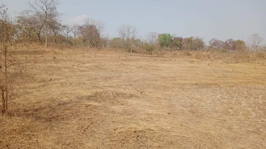 22 Guntha Agricultural/Farm Land for Sale in Murbad, Thane