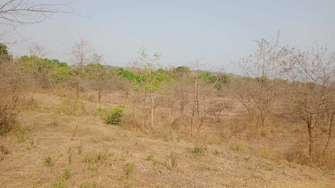 11 Acre Agricultural/Farm Land for Sale in Murbad, Thane (10 Acre)