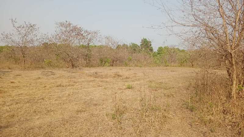 11 Acre Agricultural/Farm Land for Sale in Murbad, Thane (10 Acre)