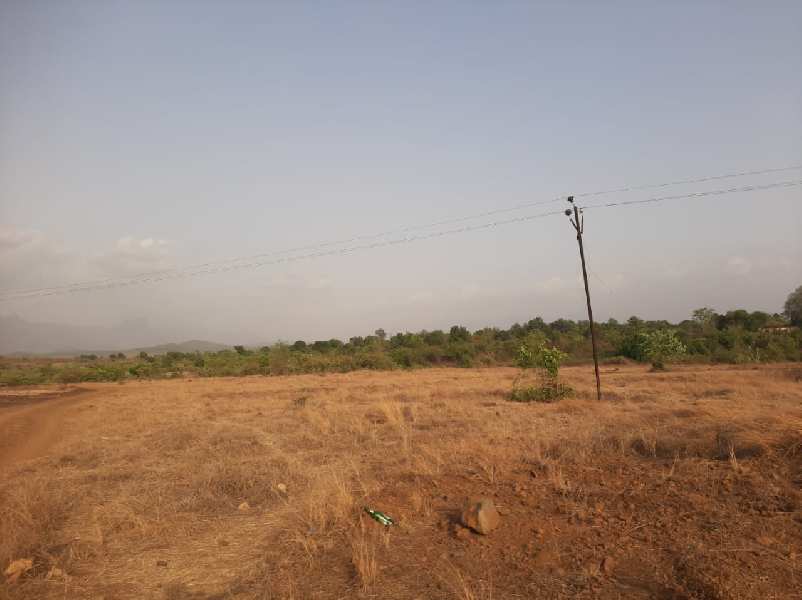 6.5 Acre Agricultural/Farm Land for Sale in Shahapur, Thane
