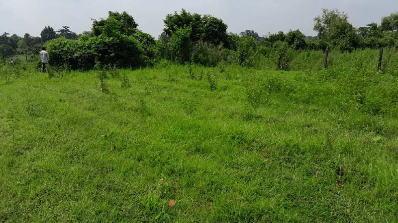 95 Guntha Agricultural/Farm Land for Sale in Murbad, Thane