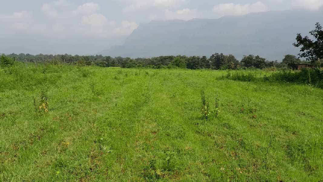 95 Guntha Agricultural/Farm Land for Sale in Murbad, Thane