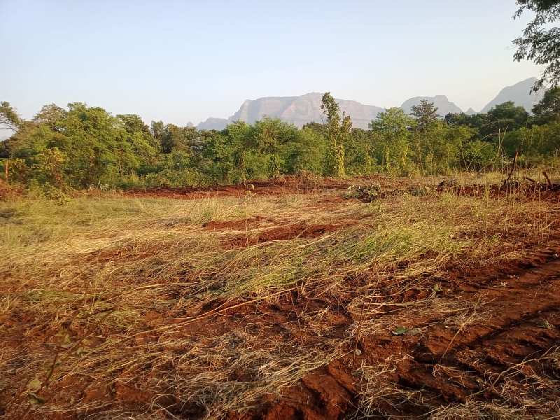 100 Guntha Agricultural/Farm Land for Sale in Murbad, Thane (2 Acre)